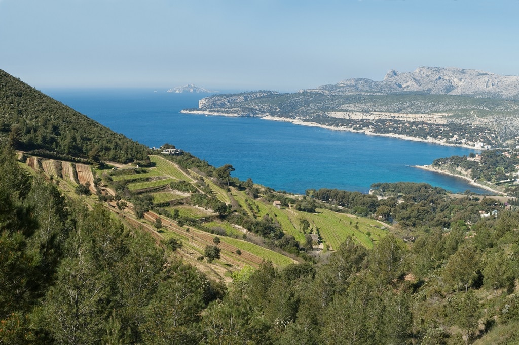 Provence, Corse : du rosé et rien d’autre ?