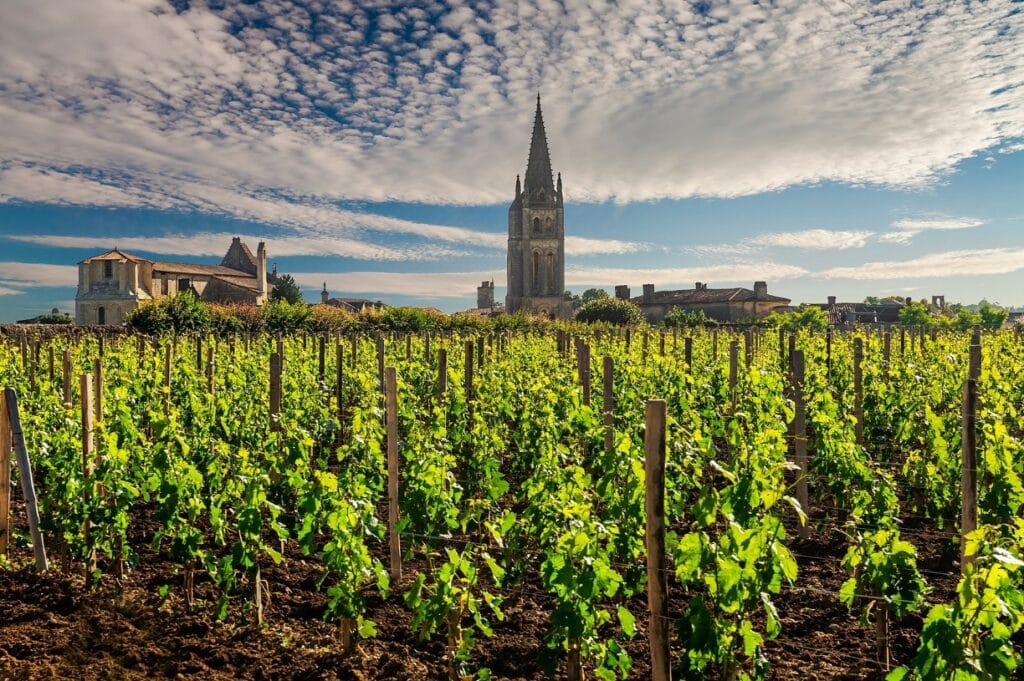 Certains vins valent de l’or !