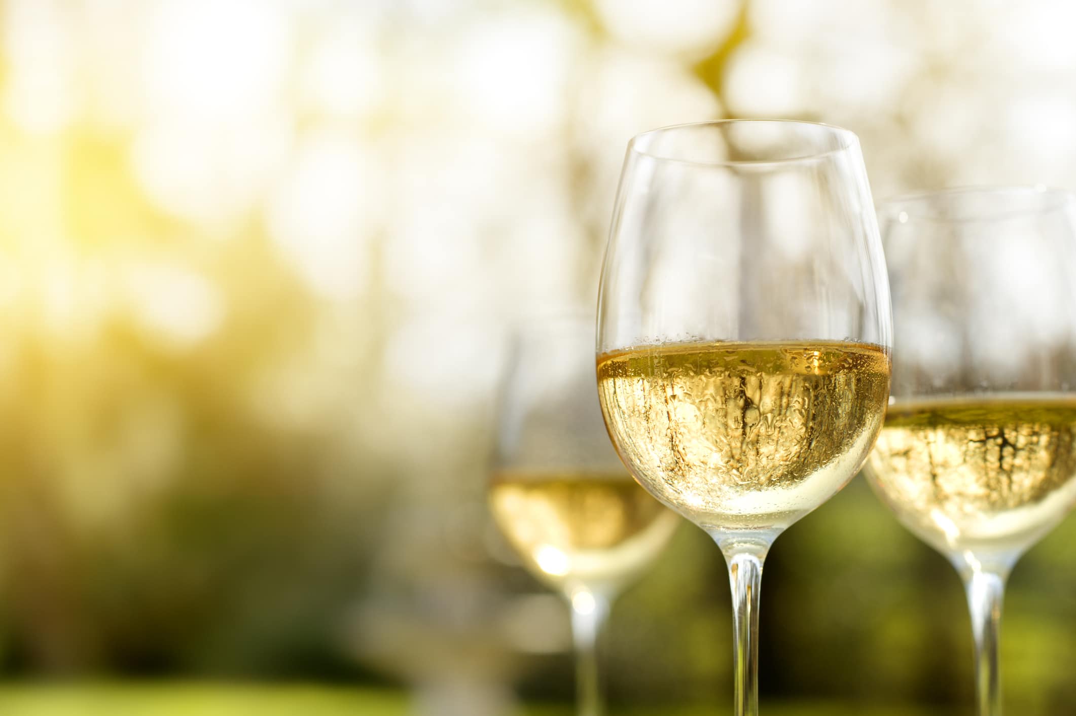 De l'apéritif au dessert : comment choisir le bon vin blanc ?
