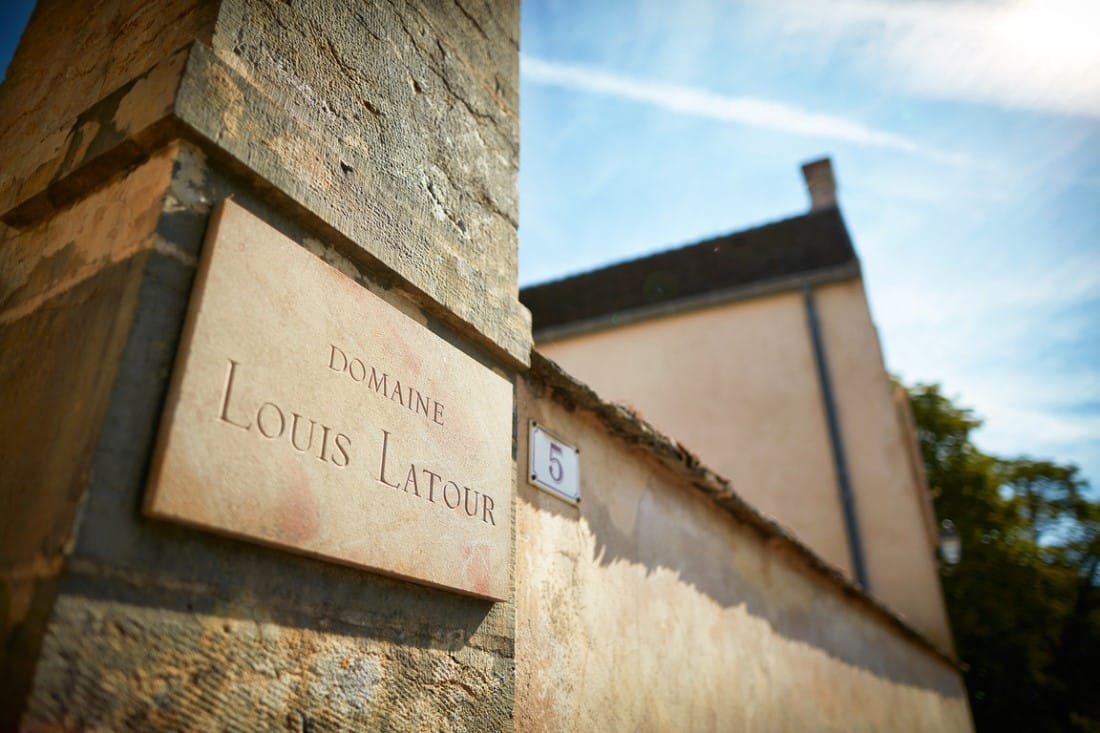 Voyages au cœur des vignobles : nos 6 escapades œnotouristiques