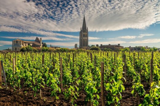 Certains&#x20;vins&#x20;valent&#x20;de&#x20;l&#x2019;or&#x20;&#x21;