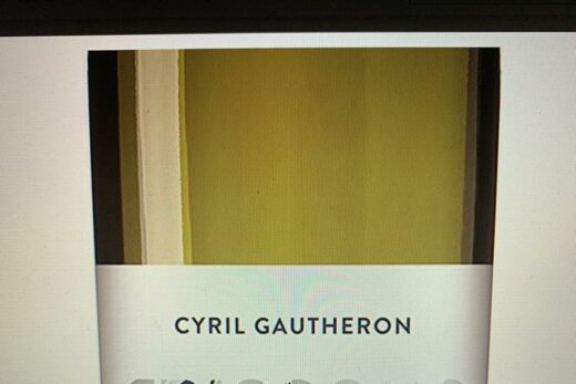 Frissons Chardonnay Cyril Gautheron 1