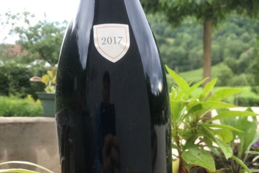 Pinot Noir Domaine de Rochebin