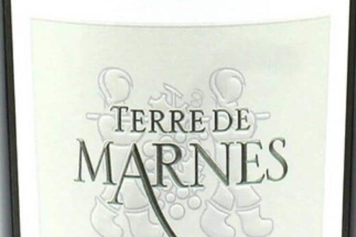 Terre de Marnes - Pinot Fruitière Vinicole d'Arbois