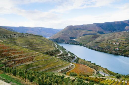 X&#x00E9;r&#x00E8;s&#x20;et&#x20;portos,&#x20;la&#x20;magie&#x20;des&#x20;vins&#x20;mut&#x00E9;s&#x00A0;&#x21;