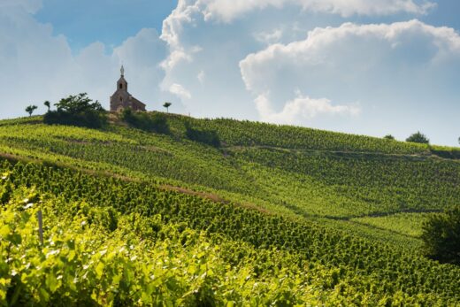 Comment&#x20;bien&#x20;choisir&#x20;un&#x20;vin&#x20;du&#x20;Beaujolais&#x00A0;&#x3F;