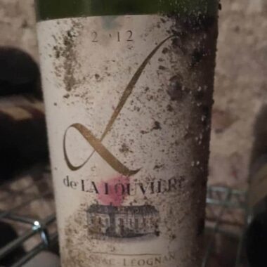 L de la Louvière Château la Louvière